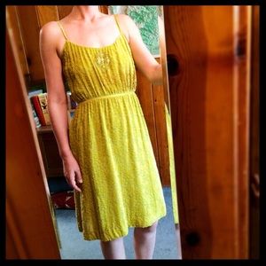 Unbelievably charming chartreuse velvet dress